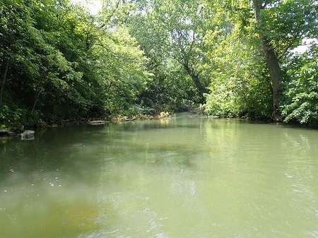 Best places to find silver coins